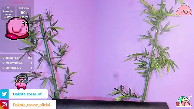 Snapshot of DakotaRosee chatting on February 17, 2025, 5:25 am DakotaRosee online show from February 17, 2025, 5:25 am