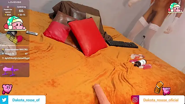 Snapshot of DakotaRosee chatting on February 21, 2025, 9:13 am DakotaRosee online show from February 21, 2025, 9:13 am