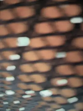 Snapshot of Rose-euphoria chatting on November 5, 2025, 1:44 pm Rose-euphoria online show from November 5, 2025, 1:44 pm