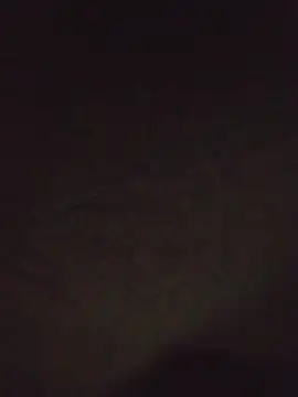 Comedordebuceta10hvyc online show from February 12, 2026, 3:01 am