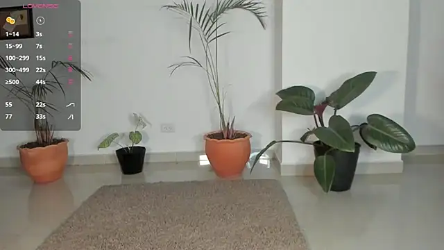 AnaHenao online show from December 17, 2025, 11:55 pm