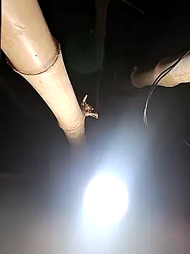 HotSexyBoudi online show from February 26, 2026, 8:24 am