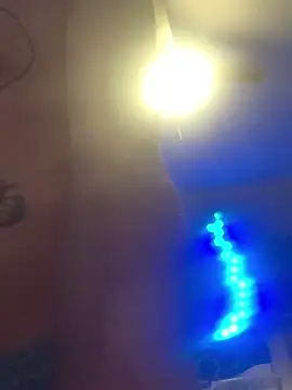 trash4cash online show from February 6, 2025, 12:33 am