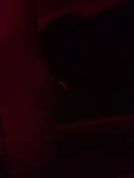 trash4cash online show from February 9, 2025, 11:25 pm