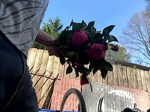 trash4cash online show from March 7, 2025, 9:06 pm