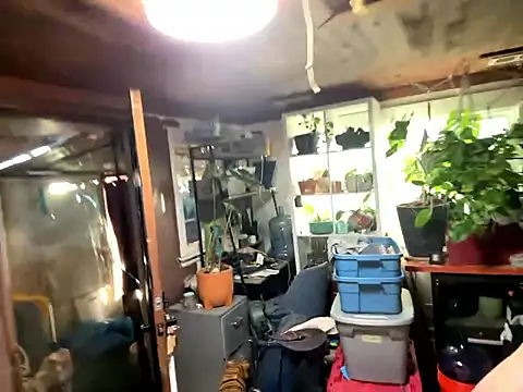 trash4cash online show from January 13, 2026, 10:04 pm