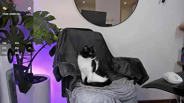 Snapshot of ariana_fitl_ chatting on January 28, 2025, 3:47 am ariana fitl online show from January 28, 2025, 3:47 am