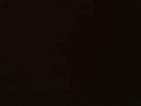 Booby savage online show from October 2, 2025, 1:29 pm