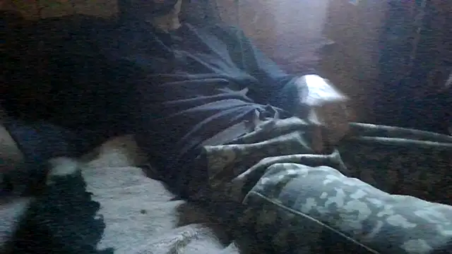 ySqmbVanbe online show from March 3, 2026, 3:51 pm