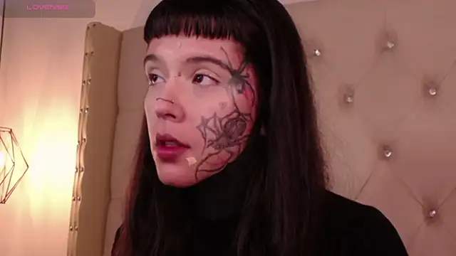 Snapshot of SylveonFox chatting on December 22, 2024, 8:27 am SylveonFox online show from December 22, 2024, 8:27 am