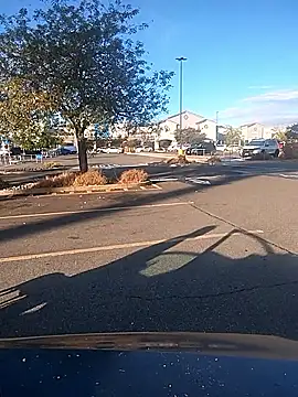 FloppyPickle4u online show from September 9, 2025, 3:11 pm