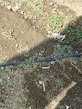 Snapshot of DADDY69SS chatting on February 8, 2026, 8:51 am DADDY69SS online show from February 8, 2026, 8:51 am