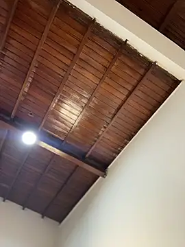 emiss  online show from February 7, 2026, 3:16 pm