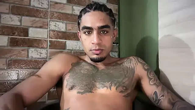 Snapshot of dominic_brandd23 chatting on July 1, 2026, 11:48 pm dominic brandd23 online show from July 1, 2026, 11:48 pm