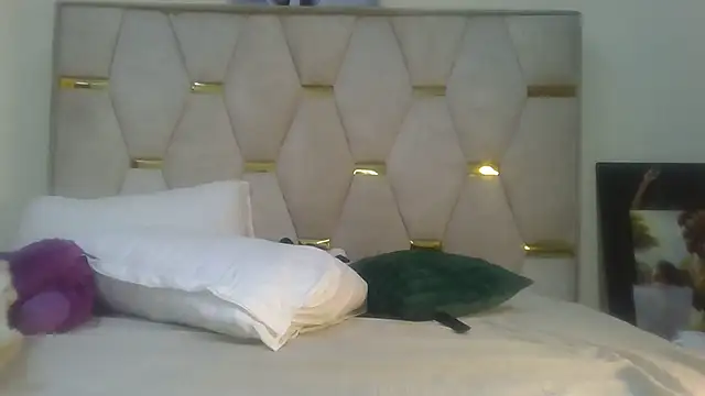 Snapshot of Fine_assie chatting on February 20, 2025, 4:28 am Fine assie online show from February 20, 2025, 4:28 am