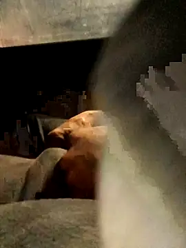 xWhoreAbleX Pika online show from March 6, 2025, 12:43 am