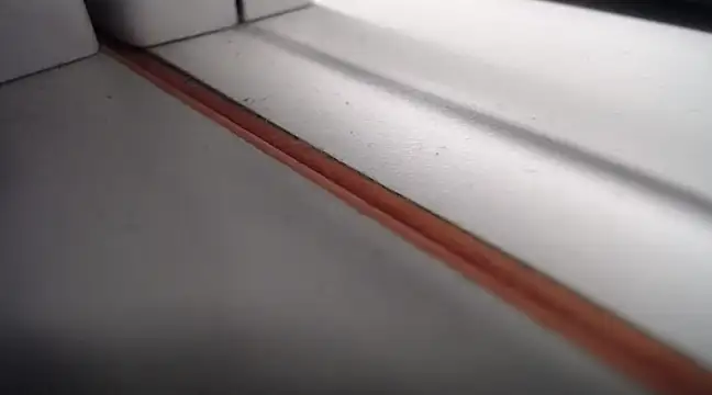 lovense test04 online show from February 21, 2025, 10:17 am