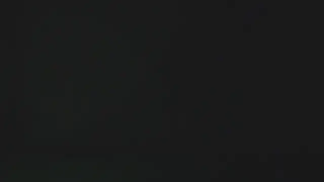 eleecttraa 12 online show from January 17, 2026, 10:09 am