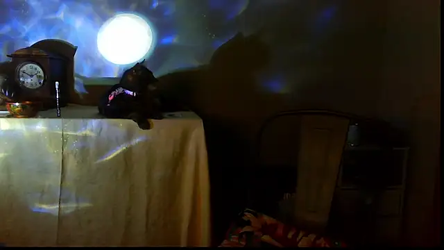 SexWorkerX online show from December 17, 2025, 10:05 pm