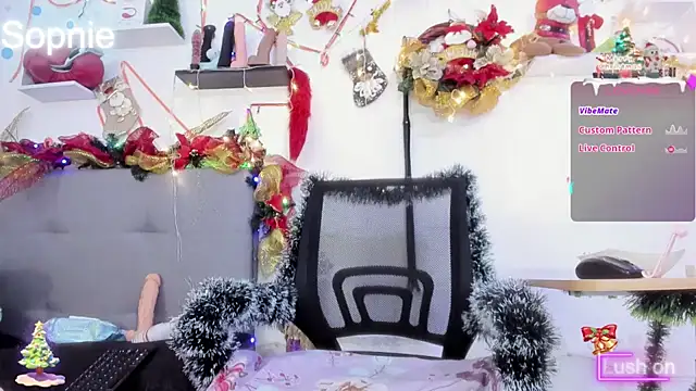 Snapshot of Sophiehuntress chatting on December 17, 2024, 4:56 am Sophiehuntress online show from December 17, 2024, 4:56 am