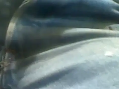 markluvskitty online show from February 7, 2025, 2:15 pm