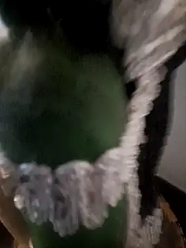 Snapshot of Honey-420- chatting on October 31, 2025, 1:06 am Honey-420- online show from October 31, 2025, 1:06 am