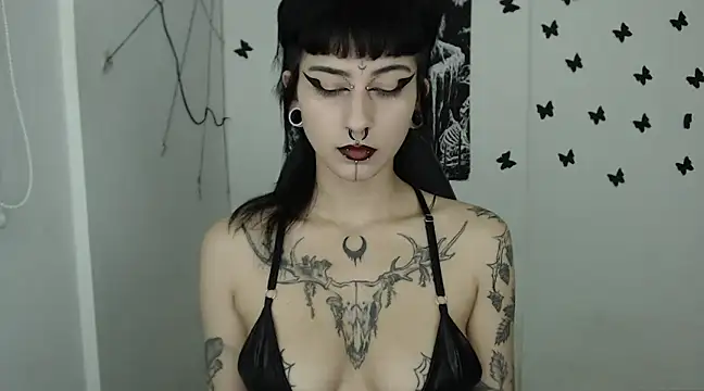 Snapshot of n0sferatus__ chatting on February 14, 2025, 3:22 am n0sferatus online show from February 14, 2025, 3:22 am