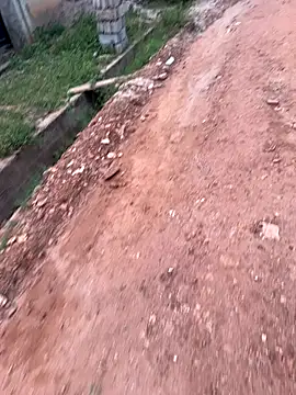 Black-mamba-madingo online show from September 10, 2025, 5:35 pm