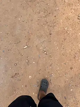 Black-mamba-madingo online show from February 1, 2026, 3:21 pm