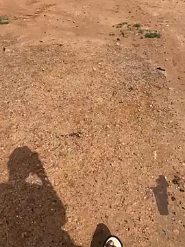 Black-mamba-madingo online show from March 28, 2026, 9:42 am