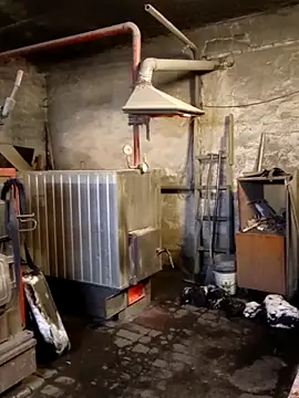 MityaXLoves online show from January 31, 2026, 7:11 pm