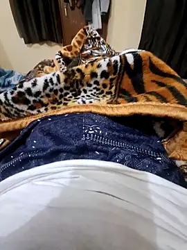 Snapshot of villagb12 chatting on December 25, 2024, 7:24 pm villagb12 online show from December 25, 2024, 7:24 pm