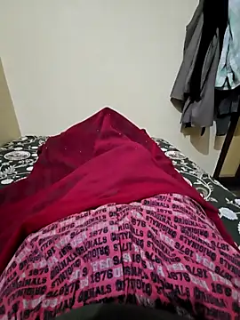 Snapshot of villagb12 chatting on November 30, 2025, 5:06 pm villagb12 online show from November 30, 2025, 5:06 pm