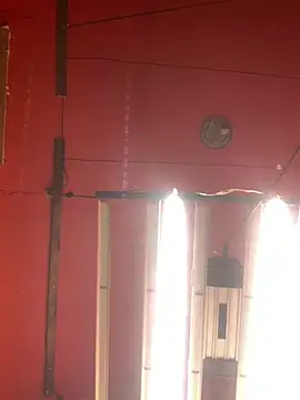 Bigtoyaddict online show from February 11, 2026, 12:43 pm