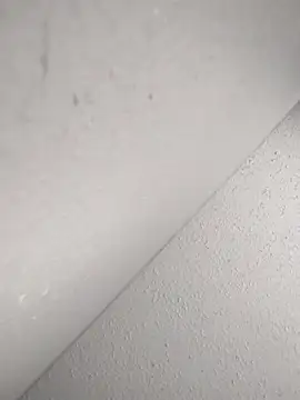 mastbacio online show from November 20, 2025, 6:29 pm