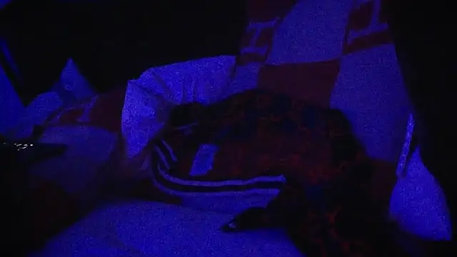 Snapshot of YouLikeBigDick9 chatting on March 7, 2025, 7:41 am YouLikeBigDick9 online show from March 7, 2025, 7:41 am