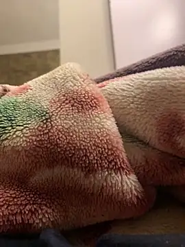 Gengista88 online show from February 15, 2026, 1:24 am