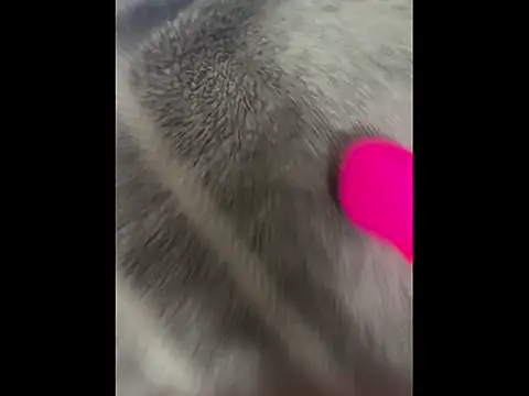 Snapshot of boypussyfist chatting on February 13, 2026, 5:47 am boypussyfist online show from February 13, 2026, 5:47 am