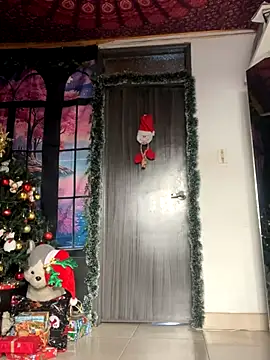 Snapshot of _Artemisa_X chatting on December 4, 2024, 9:02 pm Artemisa X online show from December 4, 2024, 9:02 pm