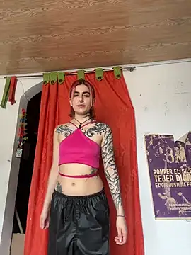 Snapshot of _Artemisa_X chatting on February 20, 2025, 6:57 pm Artemisa X online show from February 20, 2025, 6:57 pm