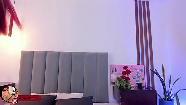 Snapshot of Scarlett_Morgan_ chatting on November 24, 2025, 7:24 pm Scarlett Morgan online show from November 24, 2025, 7:24 pm