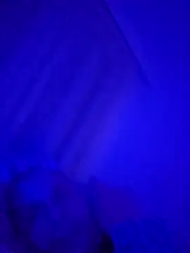 denisxlRo online show from March 16, 2025, 8:11 pm