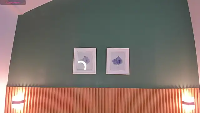 Snapshot of _anavictoria_ chatting on January 28, 2025, 6:17 pm anavictoria online show from January 28, 2025, 6:17 pm