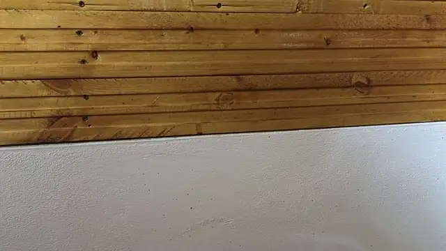 Snapshot of 00loret chatting on February 20, 2025, 3:30 pm 00loret online show from February 20, 2025, 3:30 pm