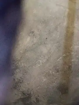 Yasha 14C Creator online show from October 18, 2025, 10:05 am