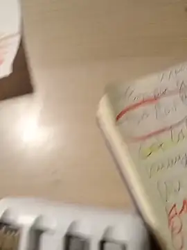 Snapshot of NochnoyGest chatting on November 13, 2025, 11:03 pm NochnoyGest online show from November 13, 2025, 11:03 pm