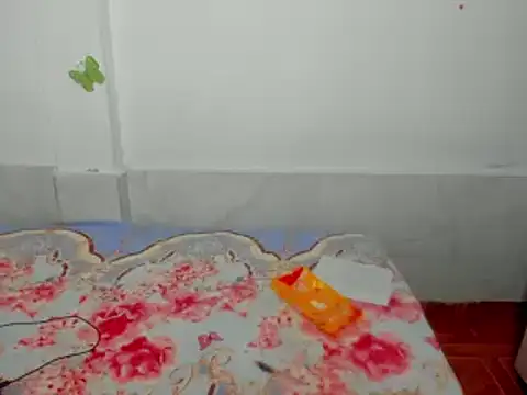 Dana Jeins online show from February 11, 2025, 1:20 pm