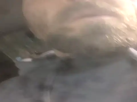 jwiththethickone413 online show from November 17, 2025, 5:52 pm