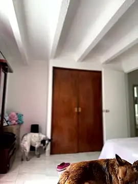 Snapshot of Salome_golvert chatting on January 9, 2026, 3:48 pm Salome golvert online show from January 9, 2026, 3:48 pm