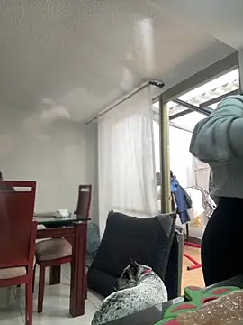 Snapshot of Salome_golvert chatting on March 2, 2026, 8:37 pm Salome golvert online show from March 2, 2026, 8:37 pm